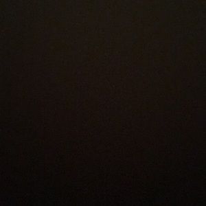 Meet your Posher, Bridgette